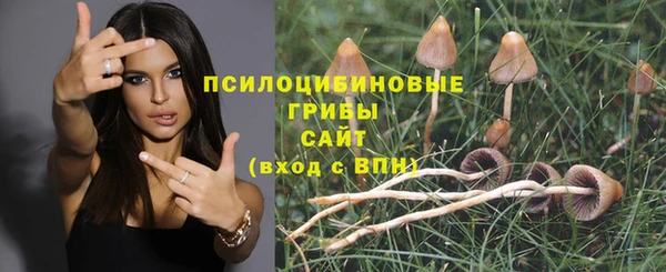 кокс Вяземский