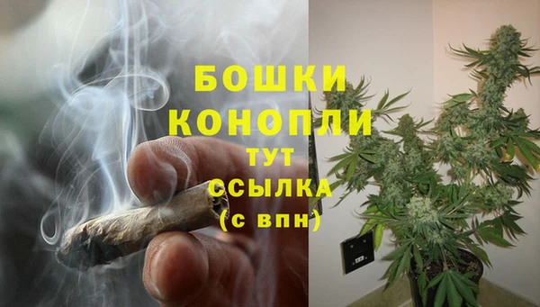 кокс Вяземский